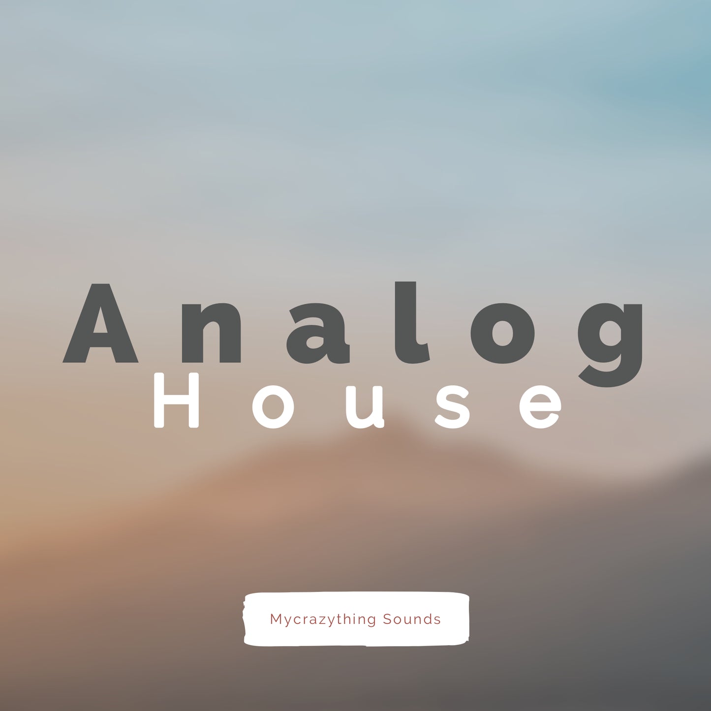Analog House
