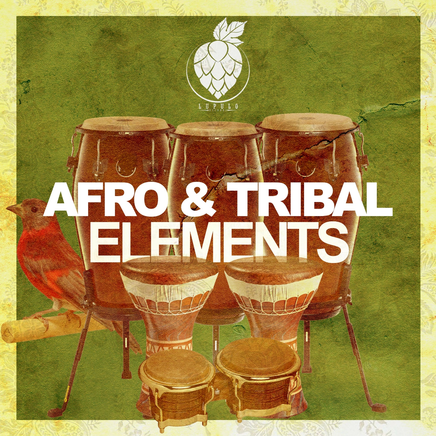 Afro & Tribal Elements