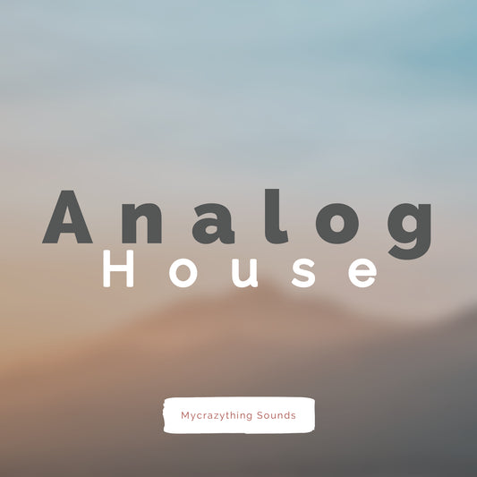 Analog House