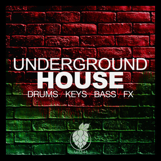 Underground House