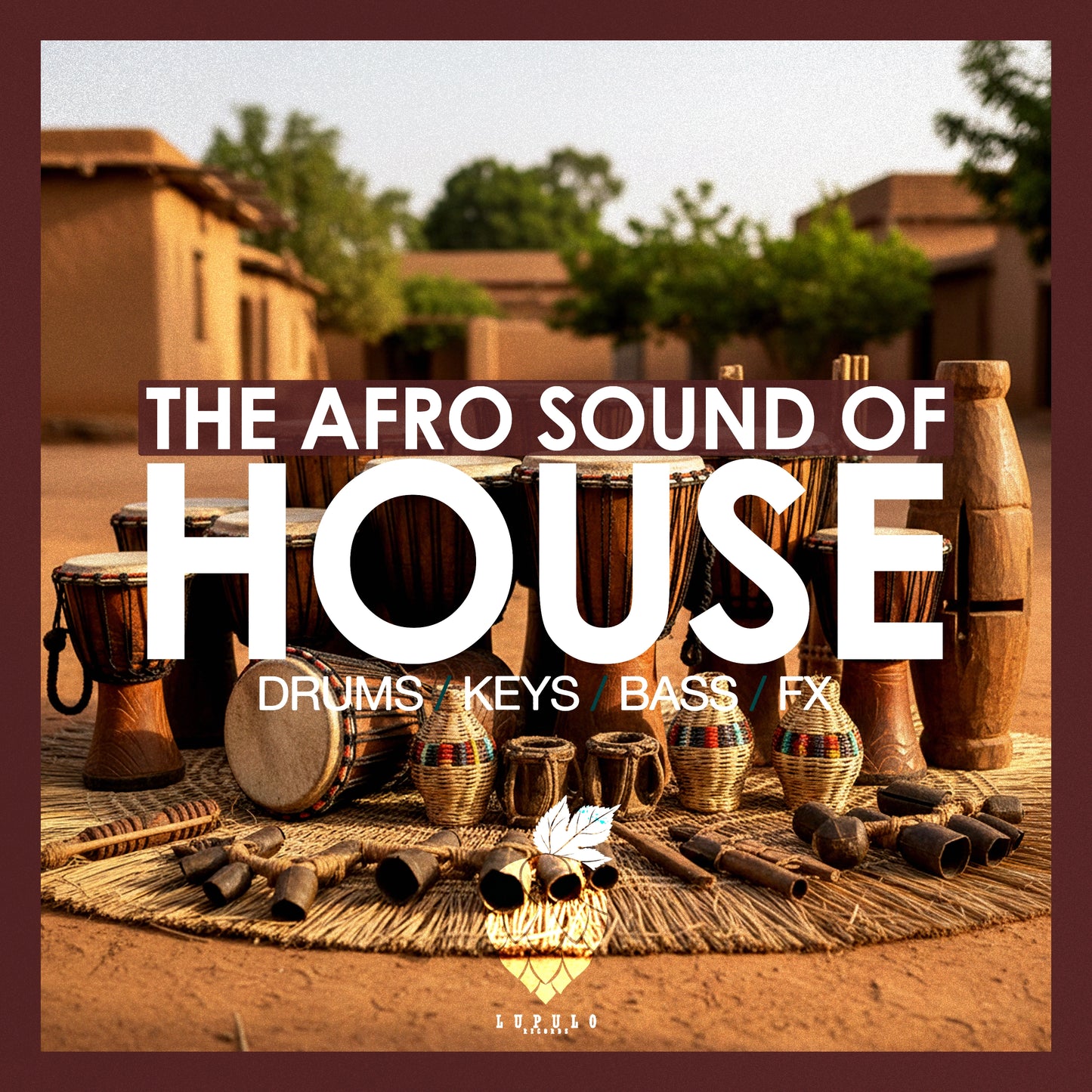 The Afro Sound Of House