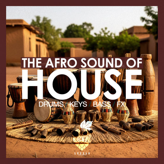 The Afro Sound Of House